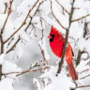 Meet your Posher, Luke